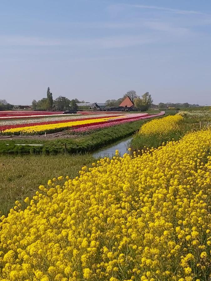 Bed & Breakfast Achterom 7 Hoorn (North Holland)